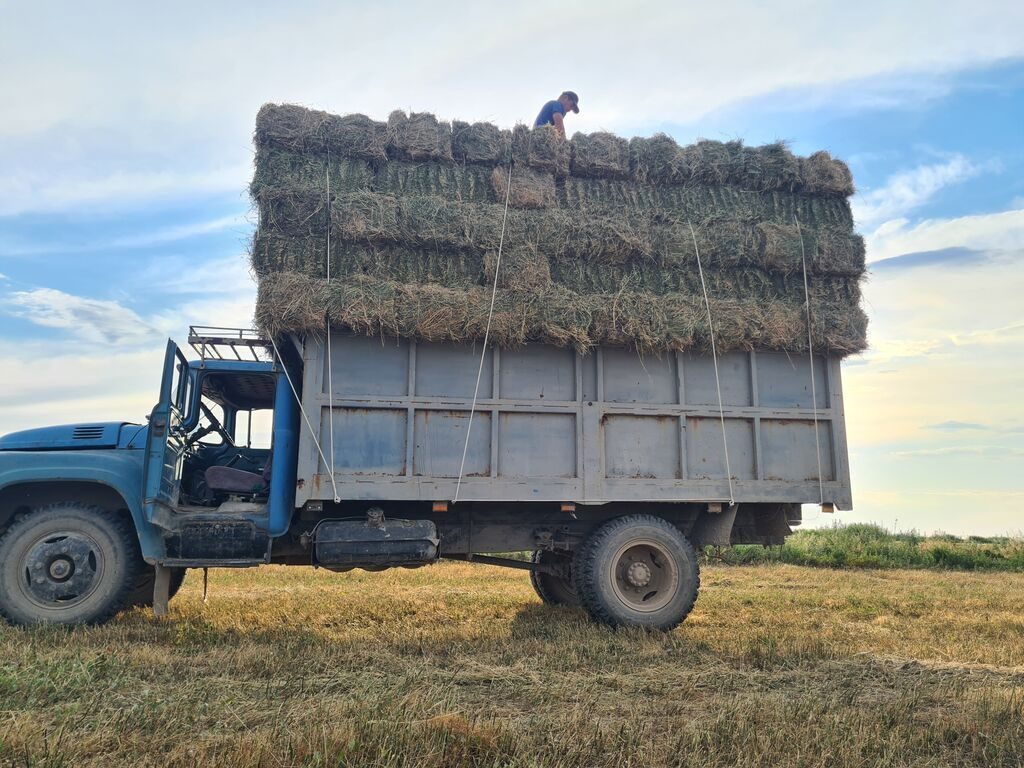 ЗИЛ 