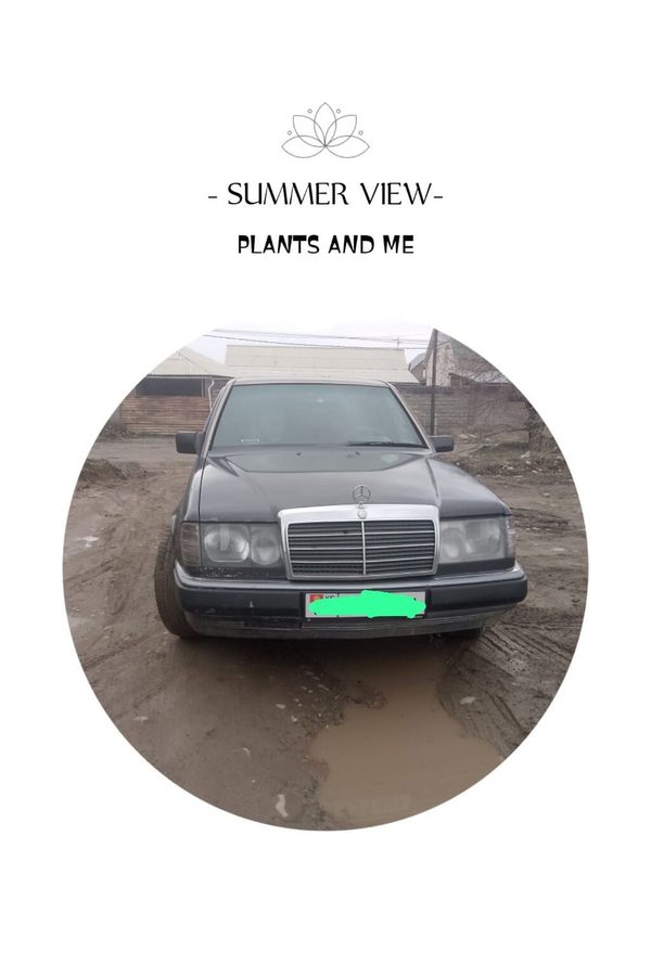 Mercedes-Benz W124