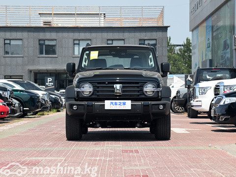 Tank 300