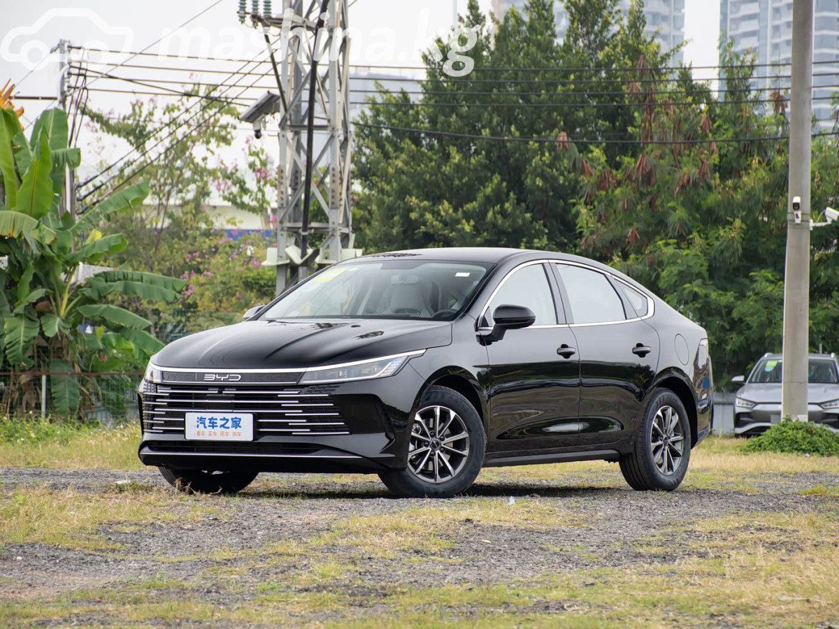 BYD Destroyer 05