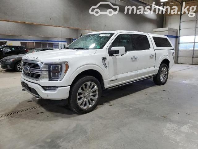 Ford F-150 XIV