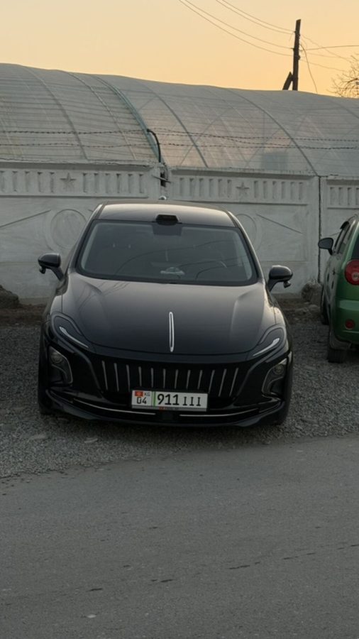 BYD 