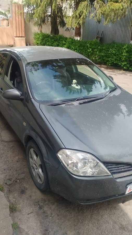 Nissan Primera