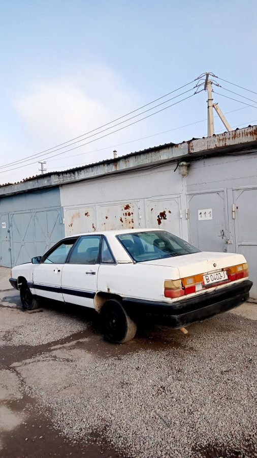Фото 4