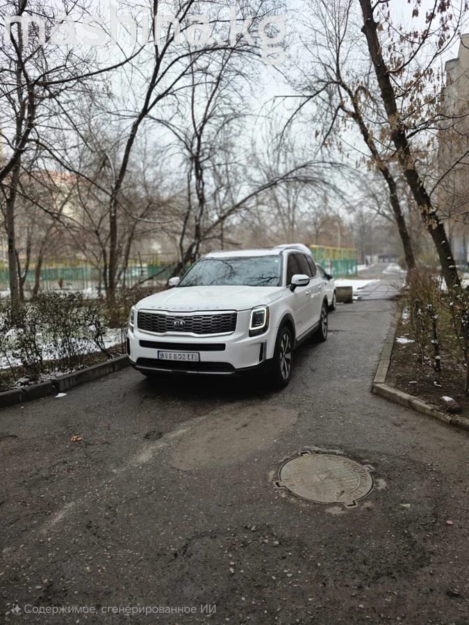 Kia Telluride I 2020