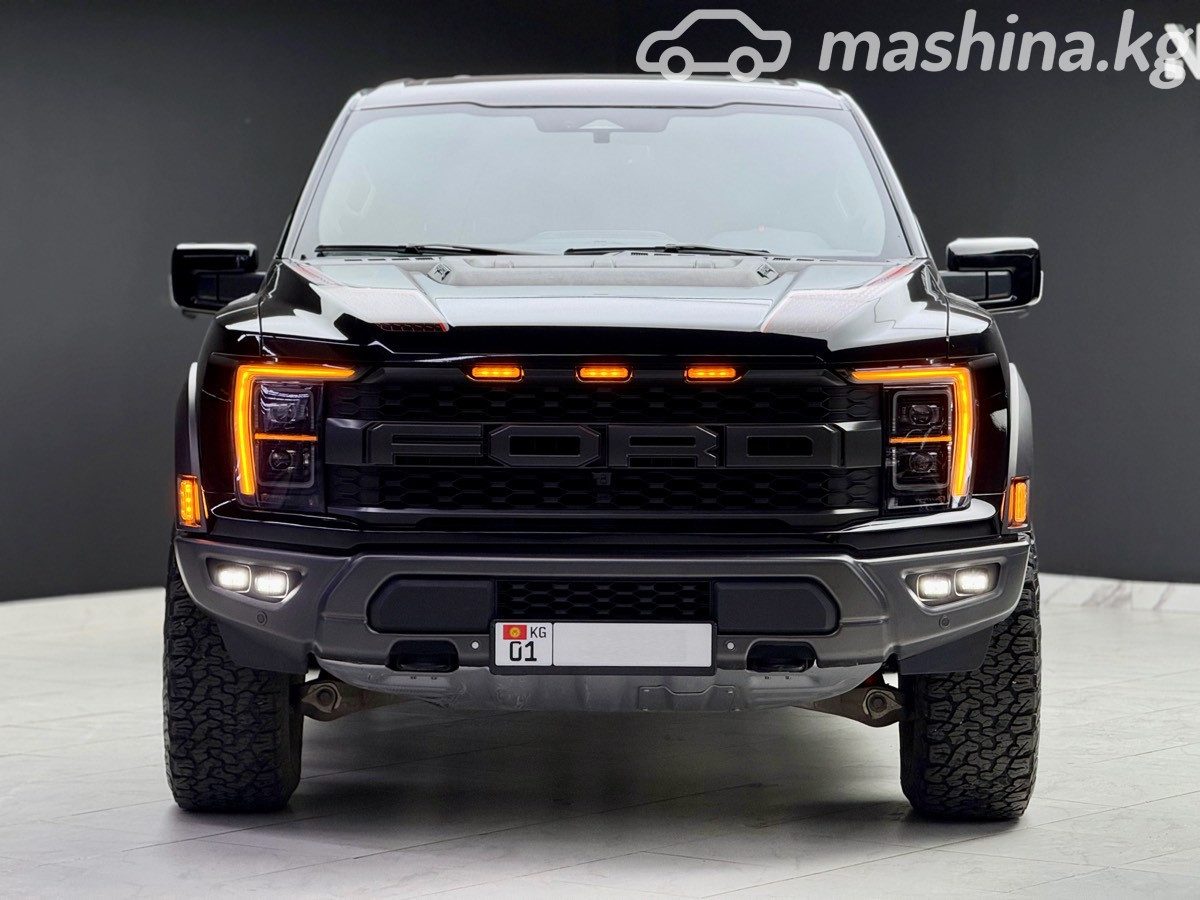 Ford F-150 XIV