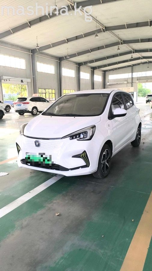 Changan Benben E-Star 2023