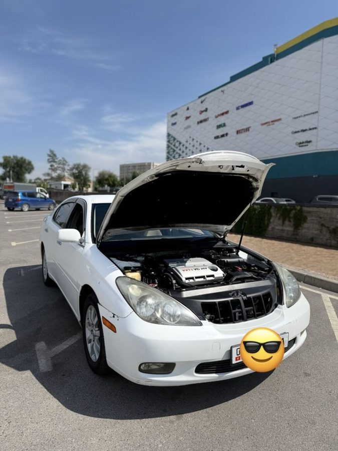 Toyota Windom