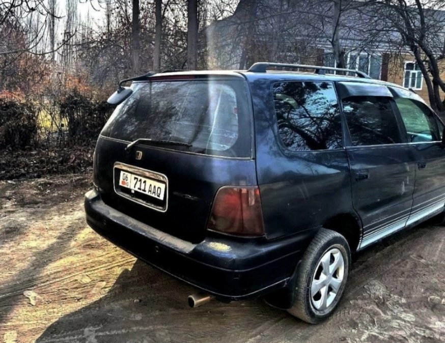 Фото 4