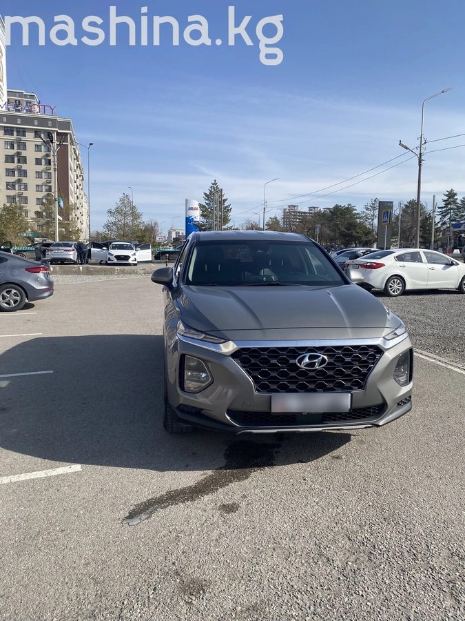 Hyundai Santa Fe IV 2019