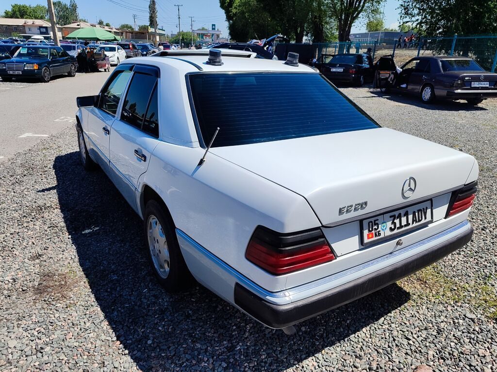 Фото 4