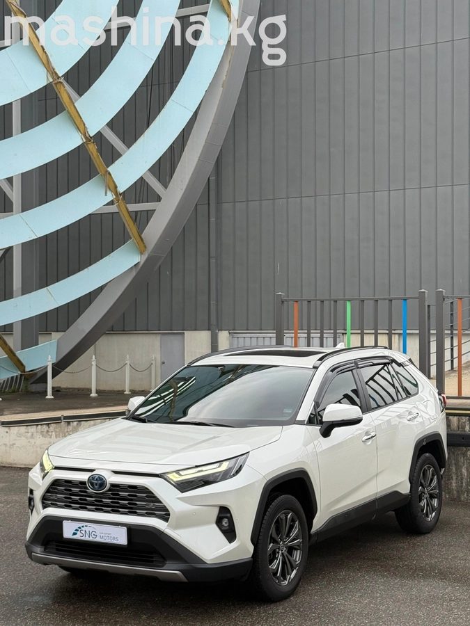 Toyota RAV4 V (XA50) 2020
