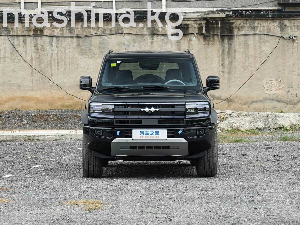 BYD FangChengBao Leopard 5 2024