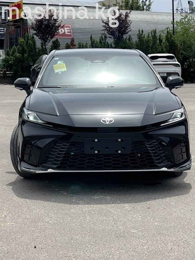Toyota Camry IX (XV80) China Market