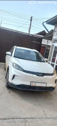 Weltmeister EX5