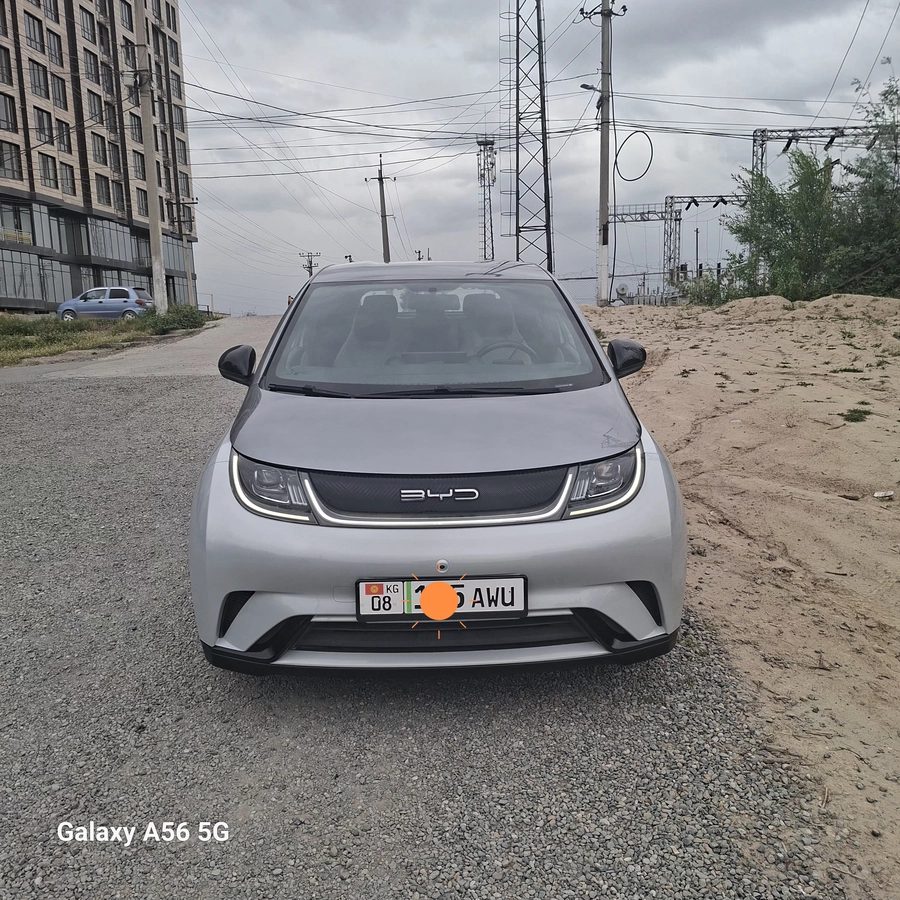 BYD Dolphin 2022