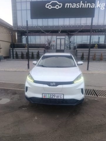Weltmeister EX5