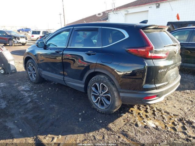 Фото 3
