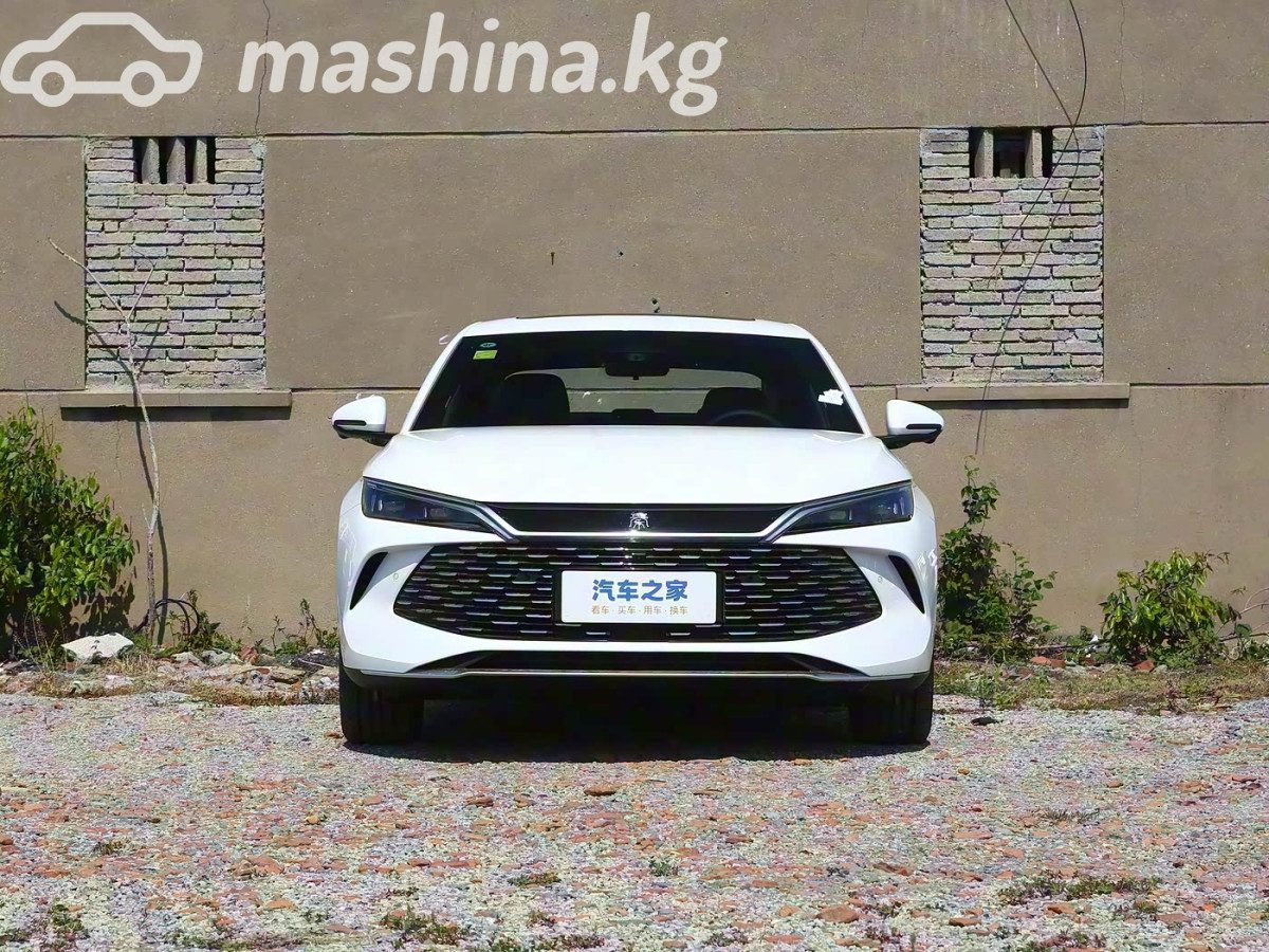 BYD Qin III