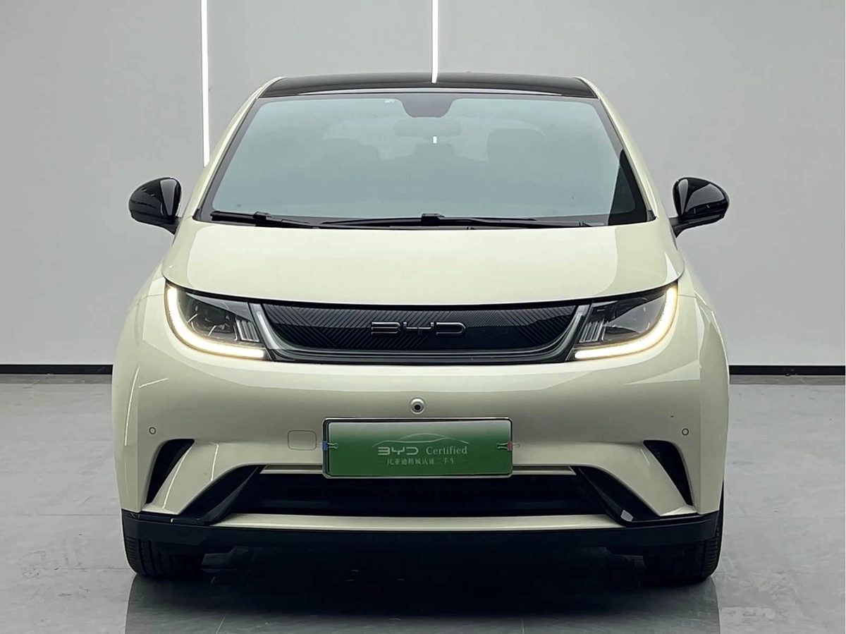 BYD Dolphin 2023