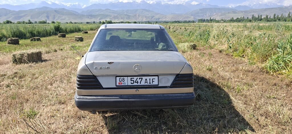Mercedes-Benz W124