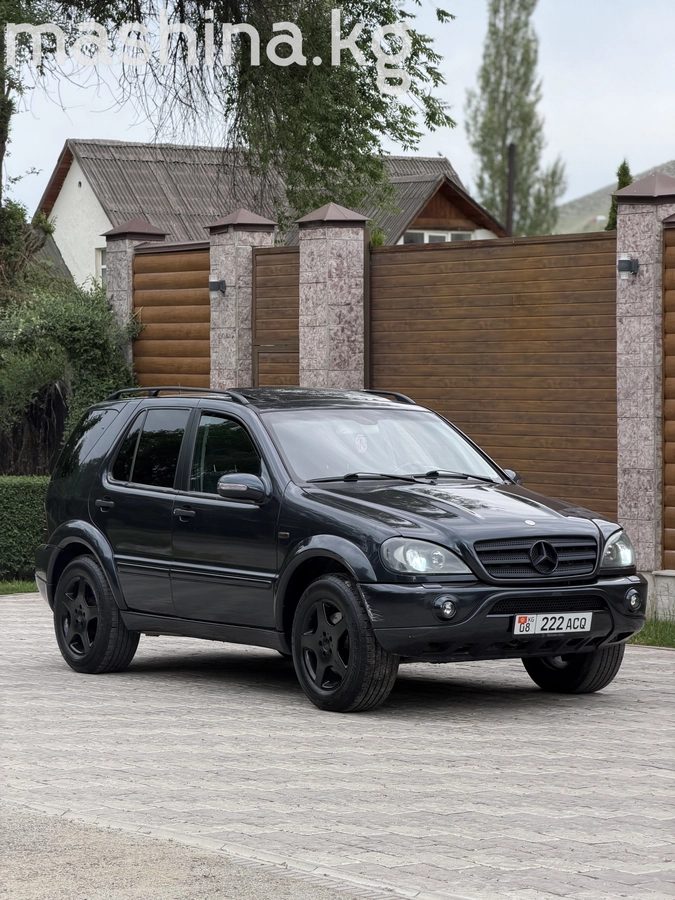 Mercedes-Benz M-Класс AMG I (W163) 2000