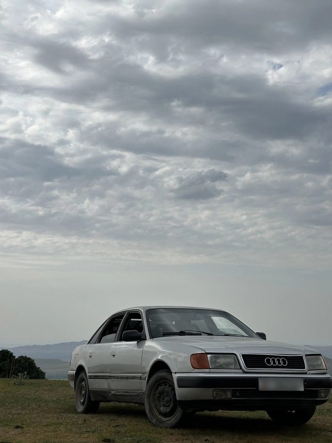 Audi 100 IV (C4) 1991