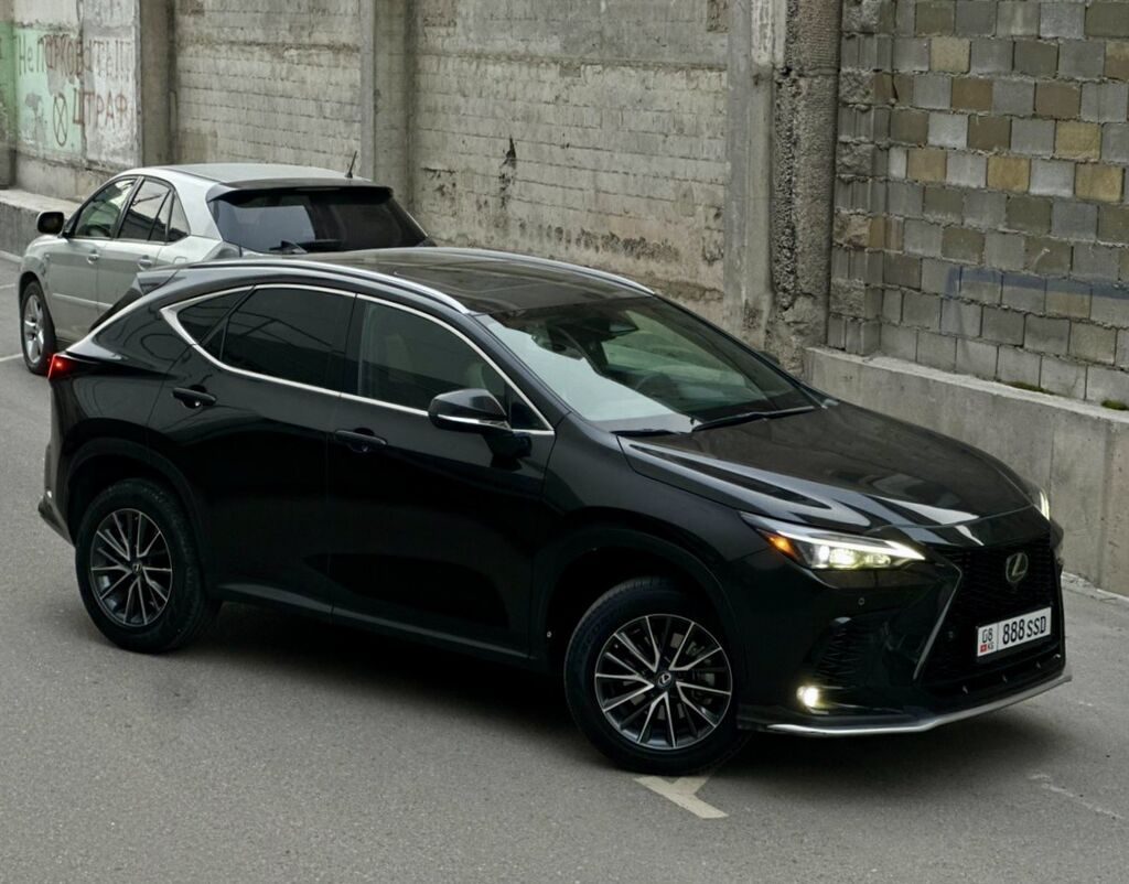 Lexus NX