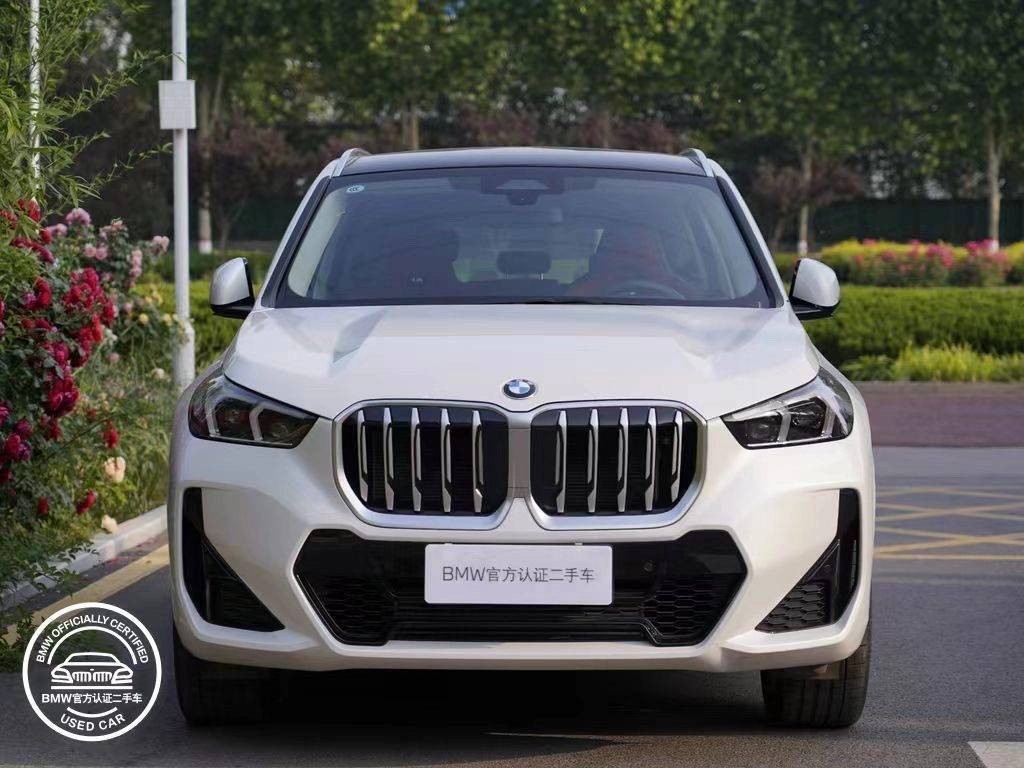 BMW X1 III (U11/U12) 2024