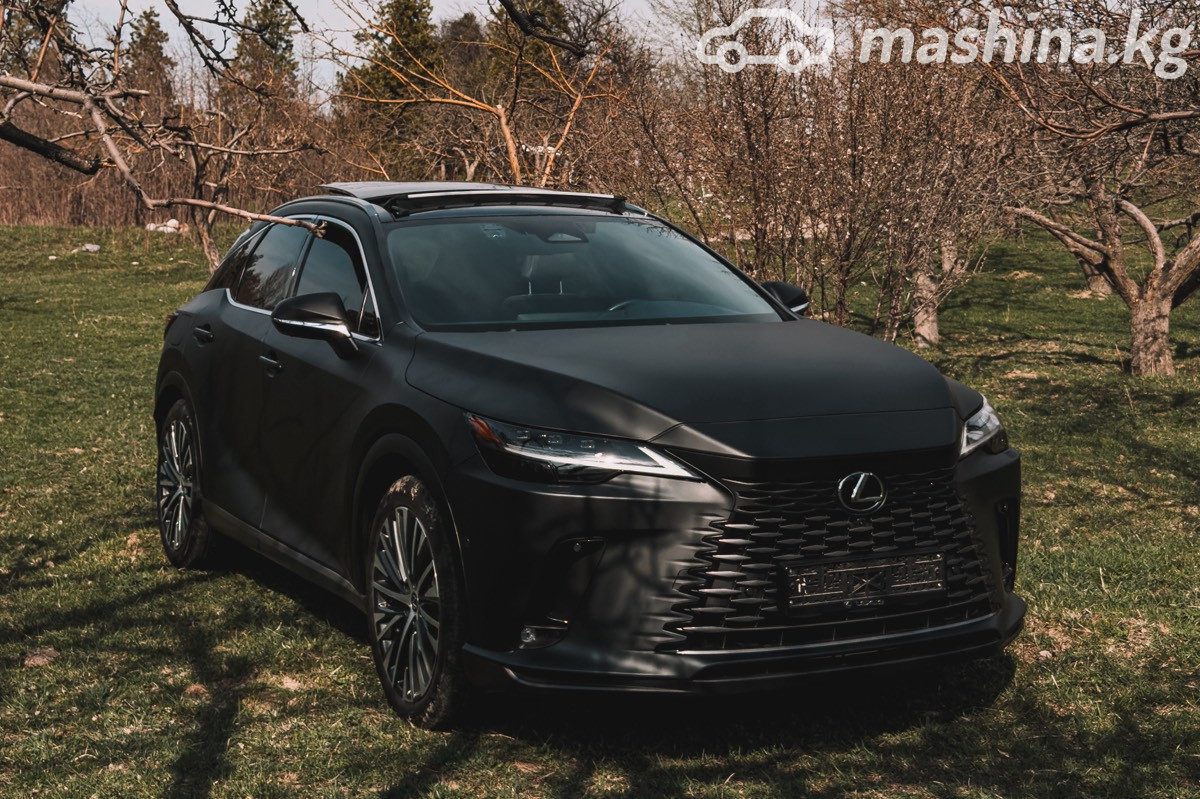 Lexus RX V