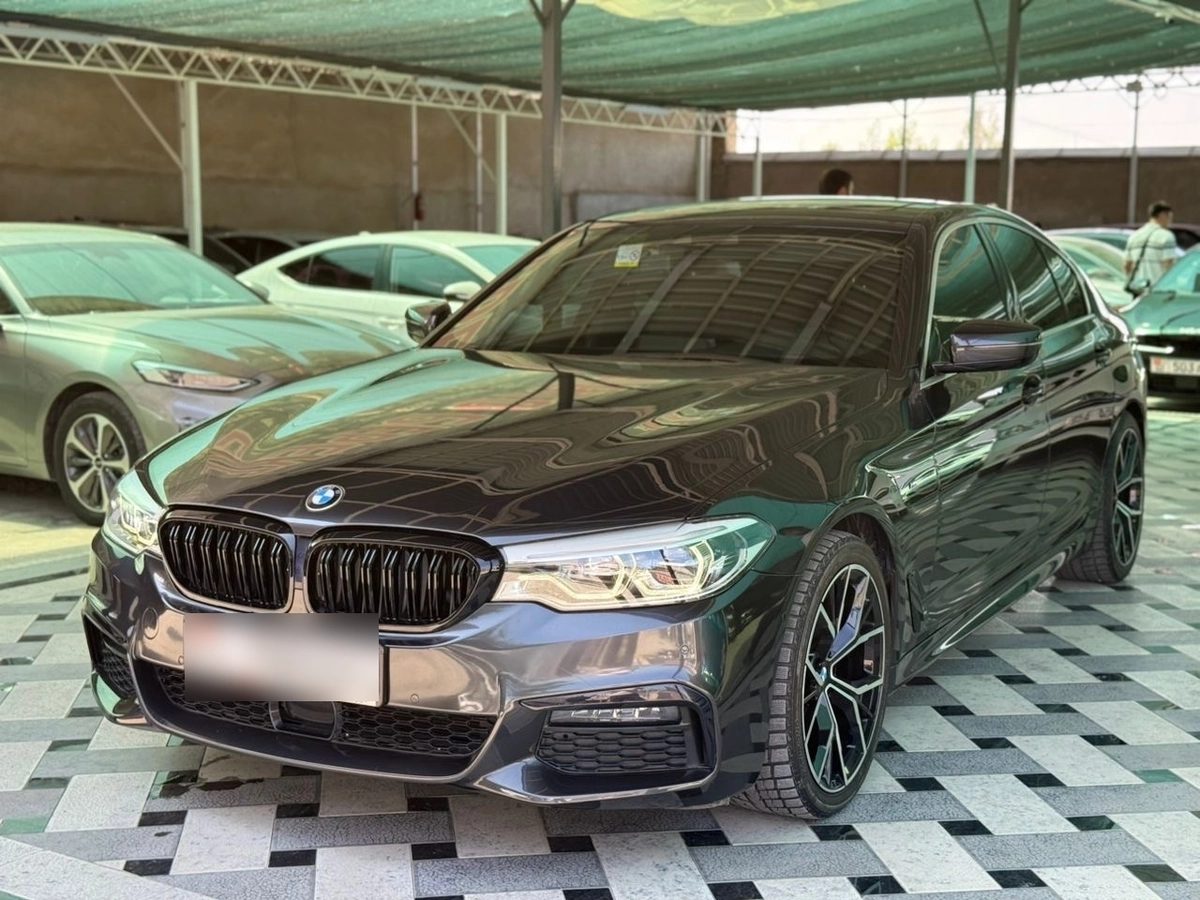 BMW 5 серии VII (G30/G31) 2020