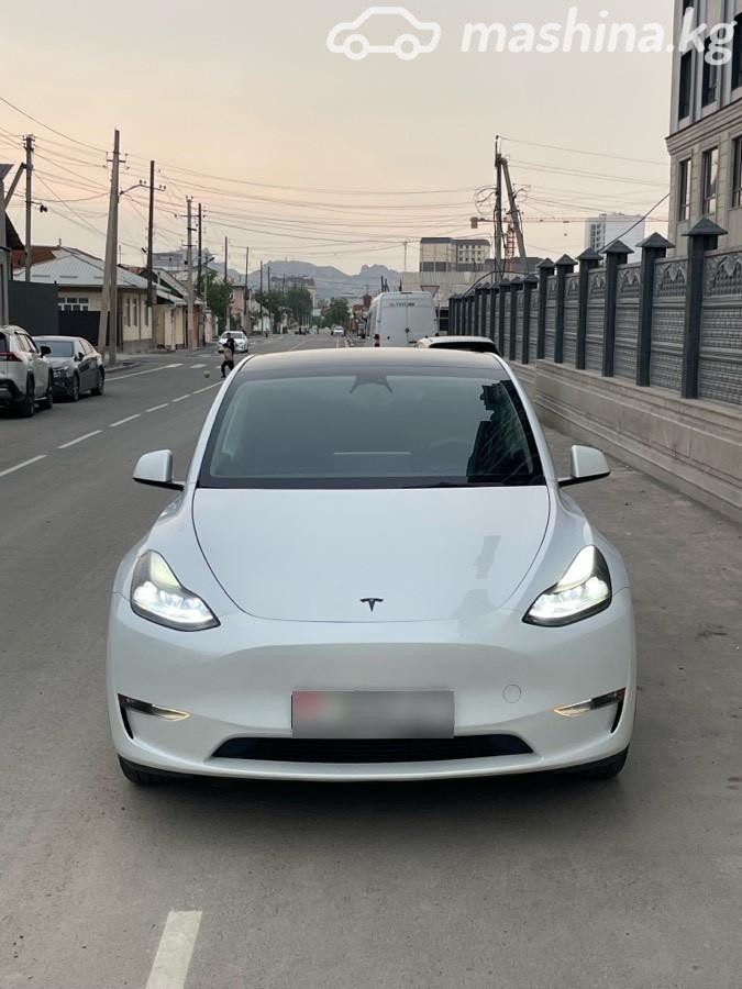 Tesla Model Y I