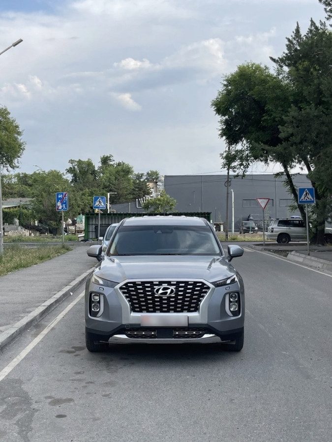 Hyundai Palisade I 2019