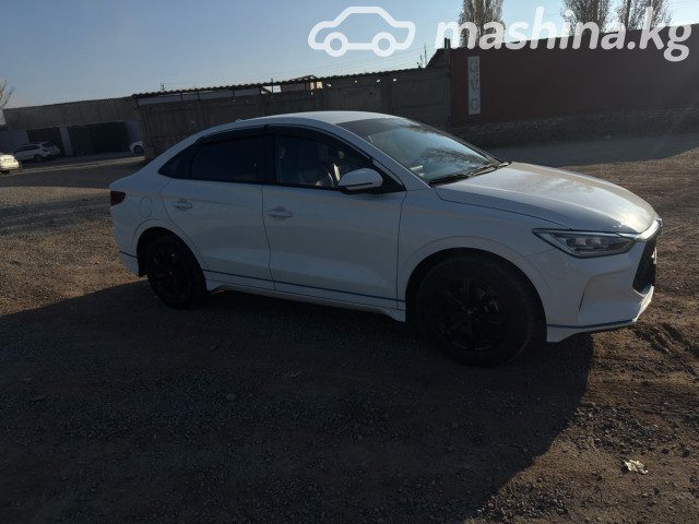 BYD E3