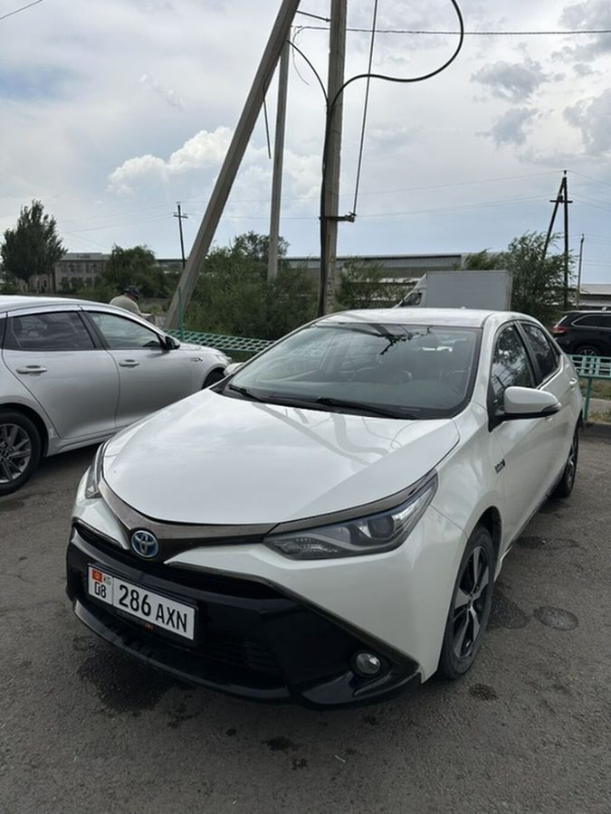 Toyota Levin