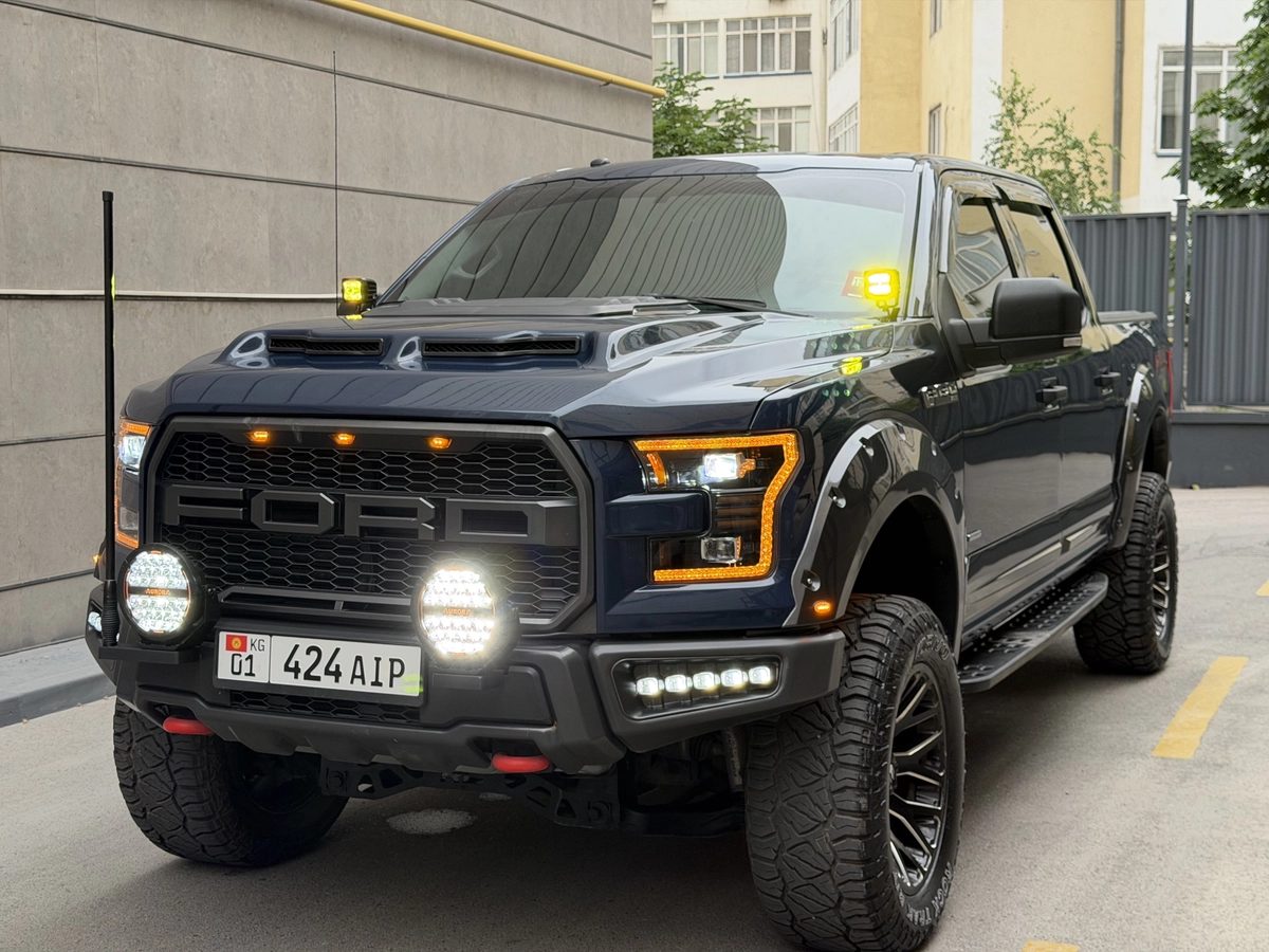 Ford F-150 XIII 2017