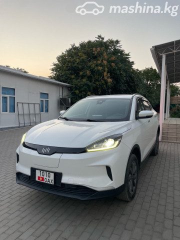 Weltmeister EX5