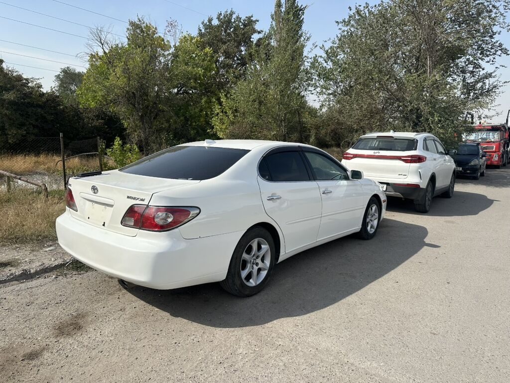 Toyota Windom