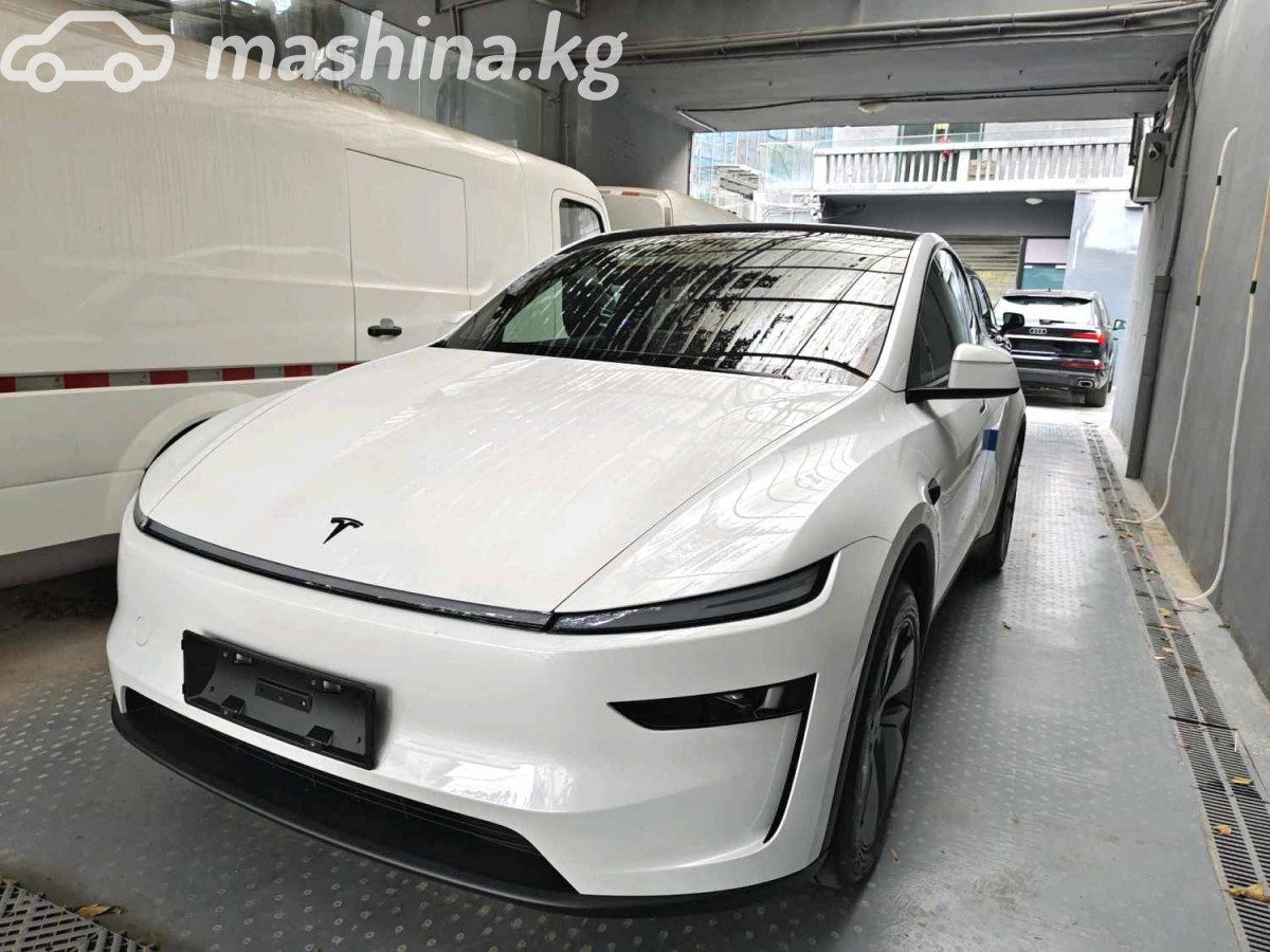 Tesla Model Y I