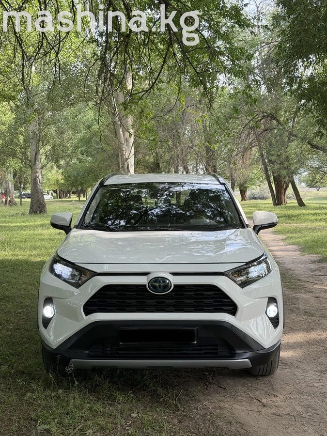 Toyota RAV4 V (XA50) 2020