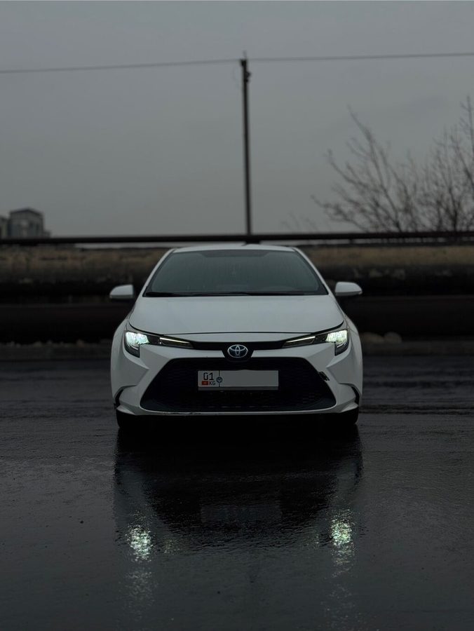 Toyota Levin
