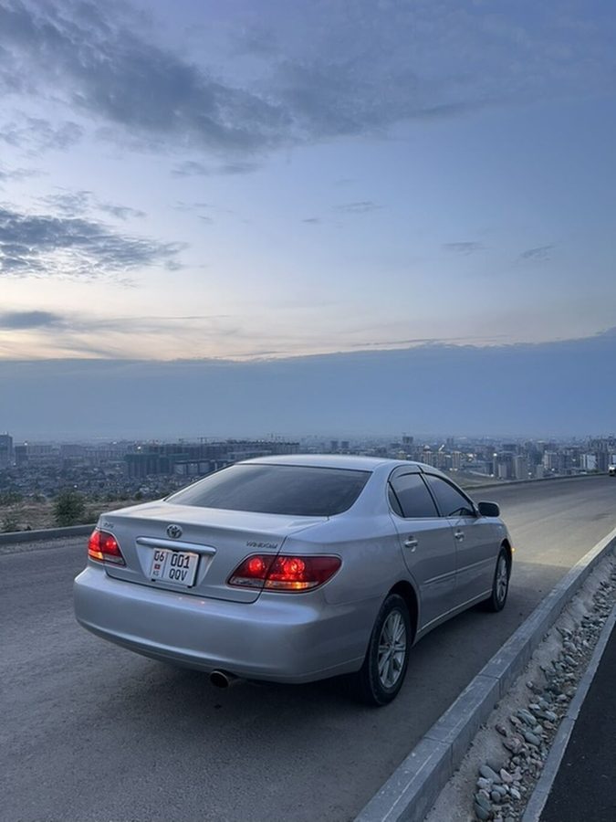Toyota Windom