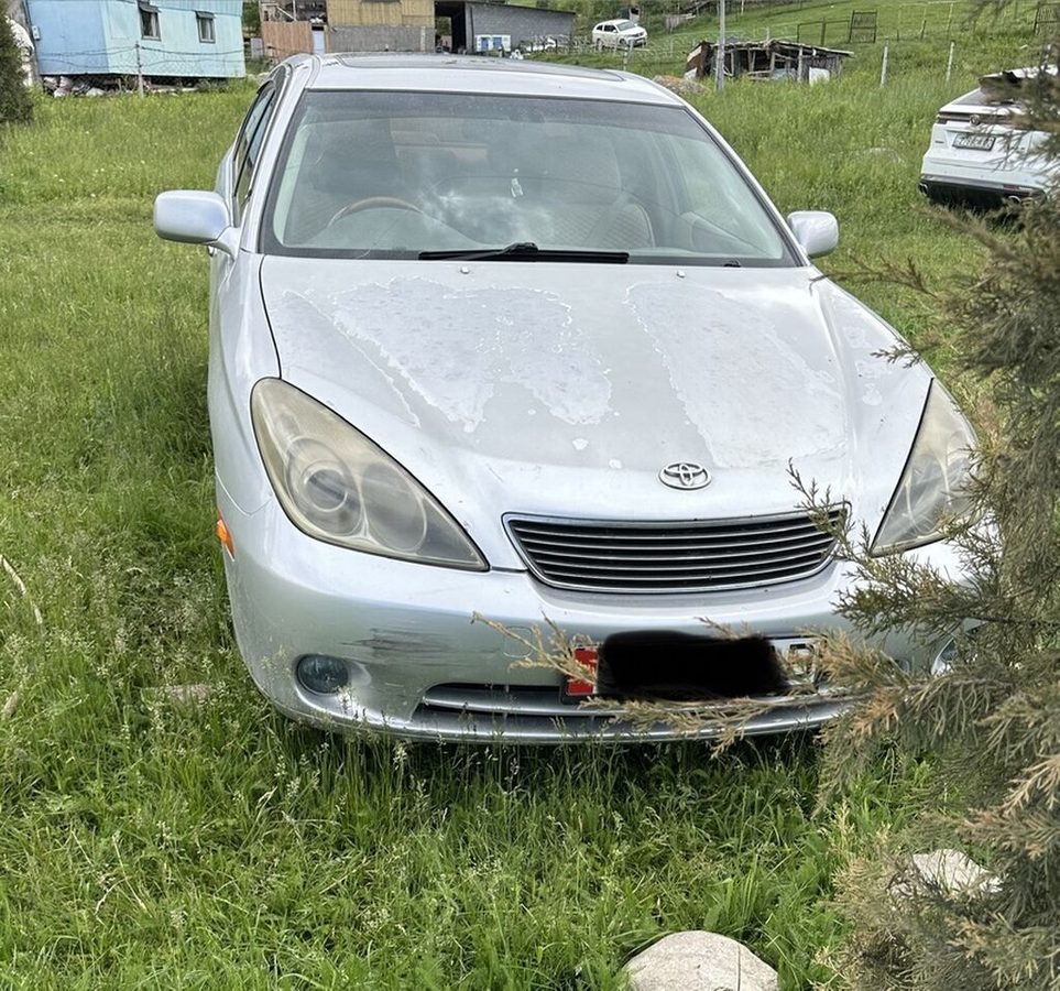 Toyota Windom