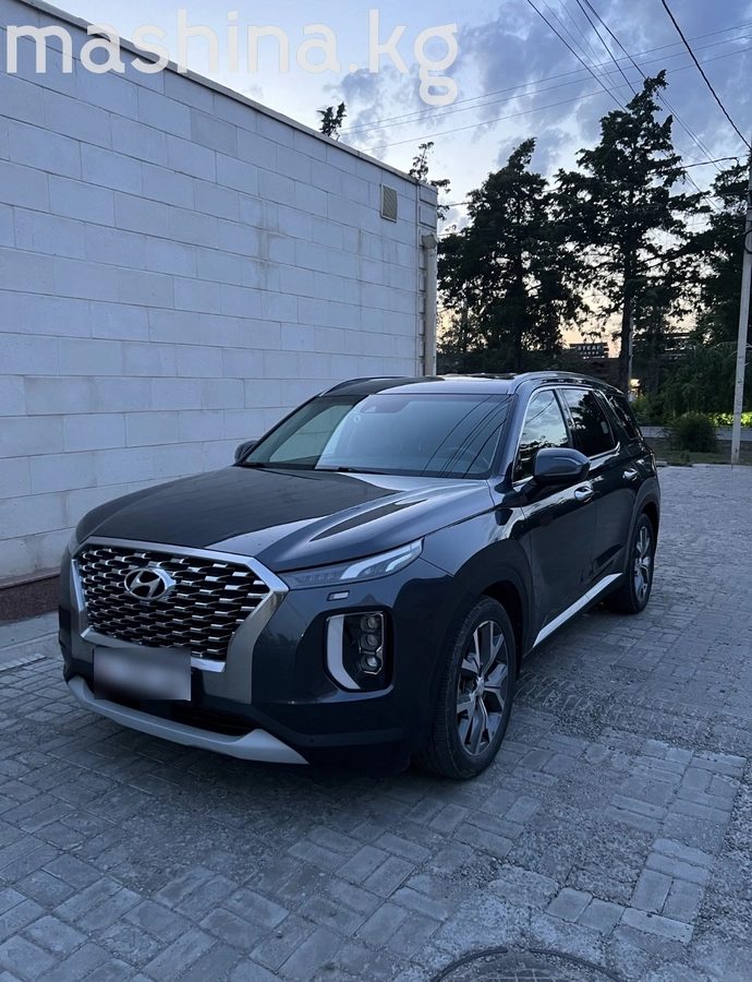 Hyundai Palisade I 2019
