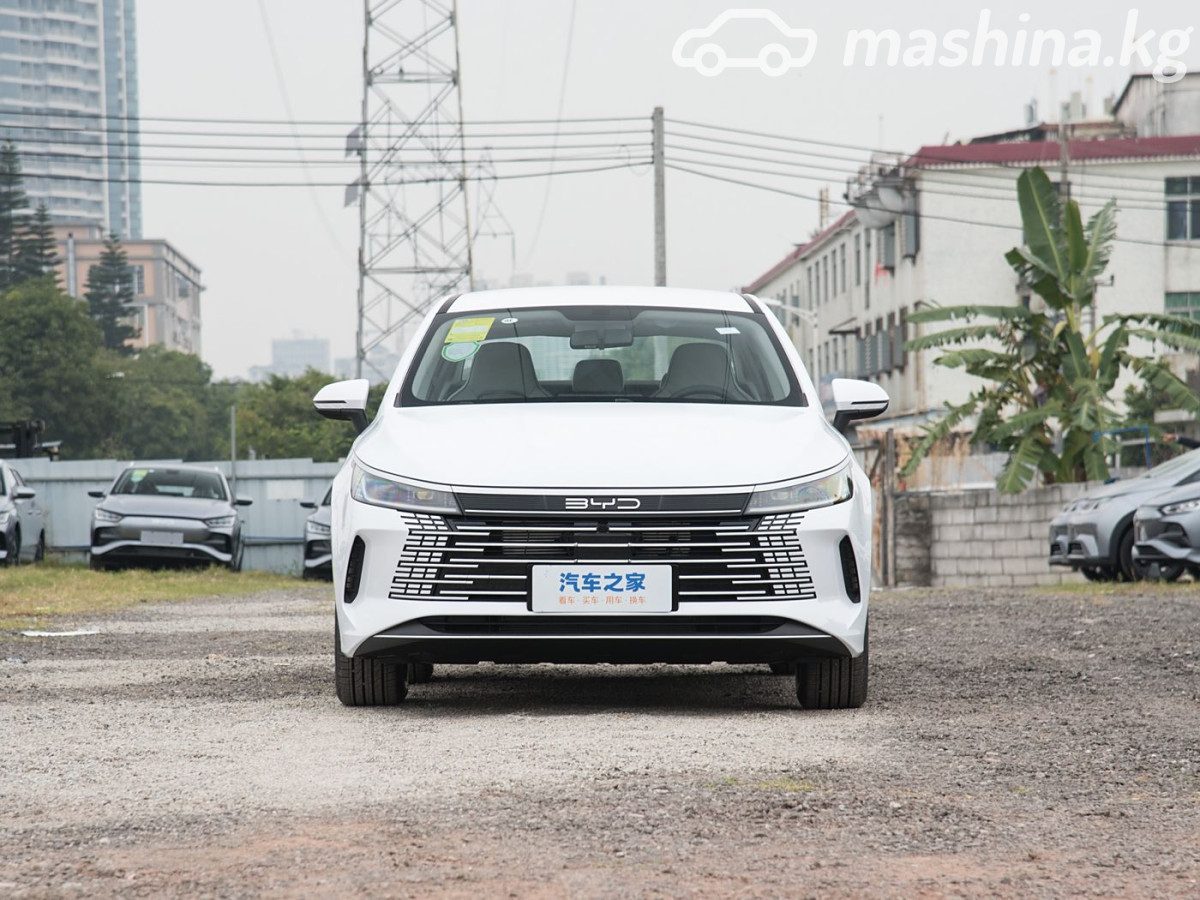 BYD Destroyer 05