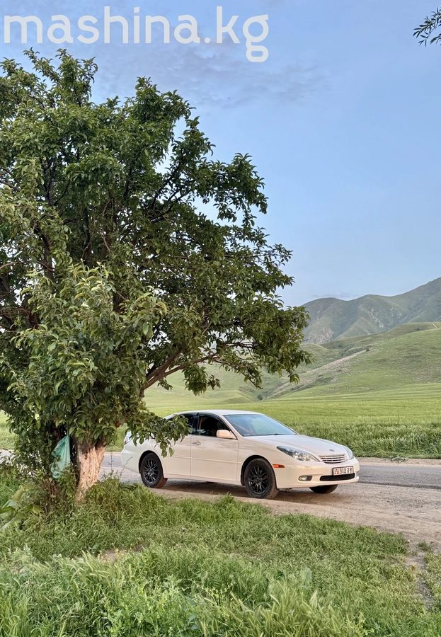 Toyota Windom III (XV30) 2002