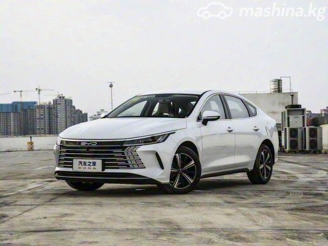 BYD Destroyer 05