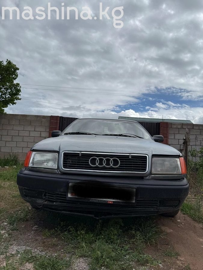 Audi 100 IV (C4) 1991
