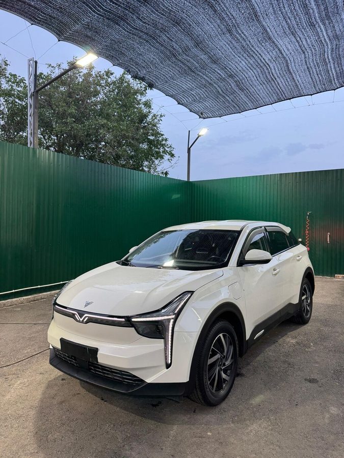 BYD 