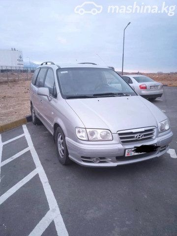 Hyundai Trajet